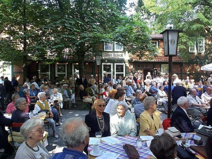 Foto: Waldwirtschaft Alter Kanal